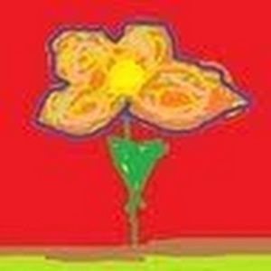 Meet your Posher, Aisling